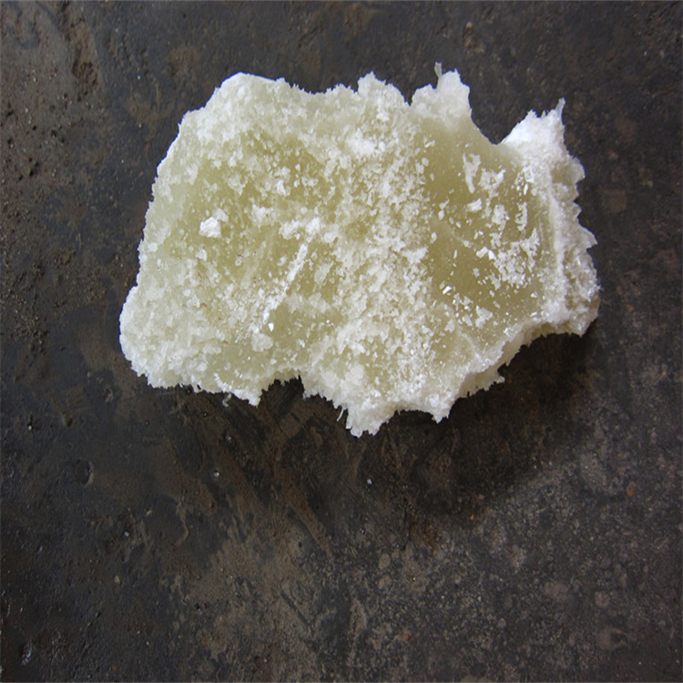 纯屌大逼骚骚网站